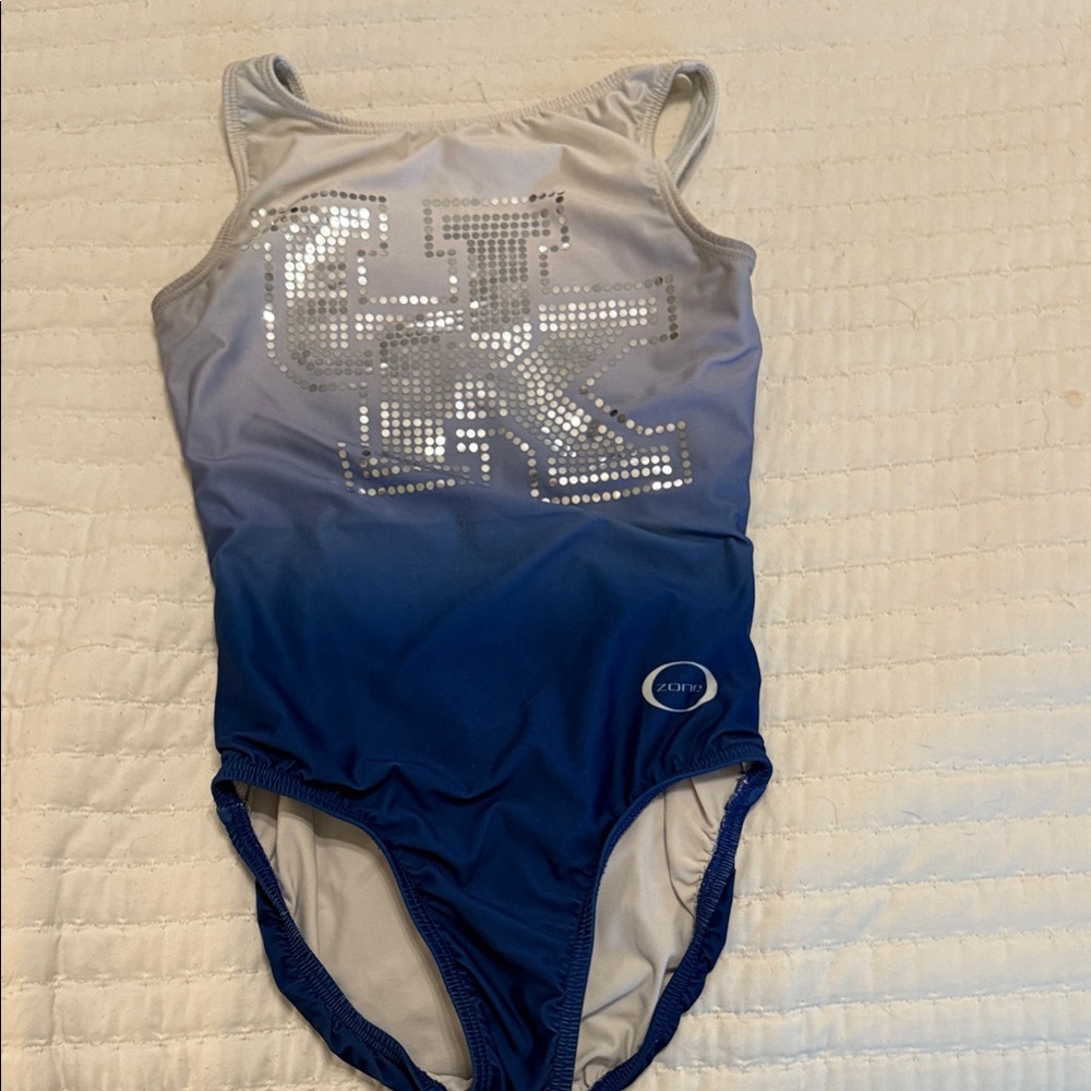 Blue and Silver Kids Leotard